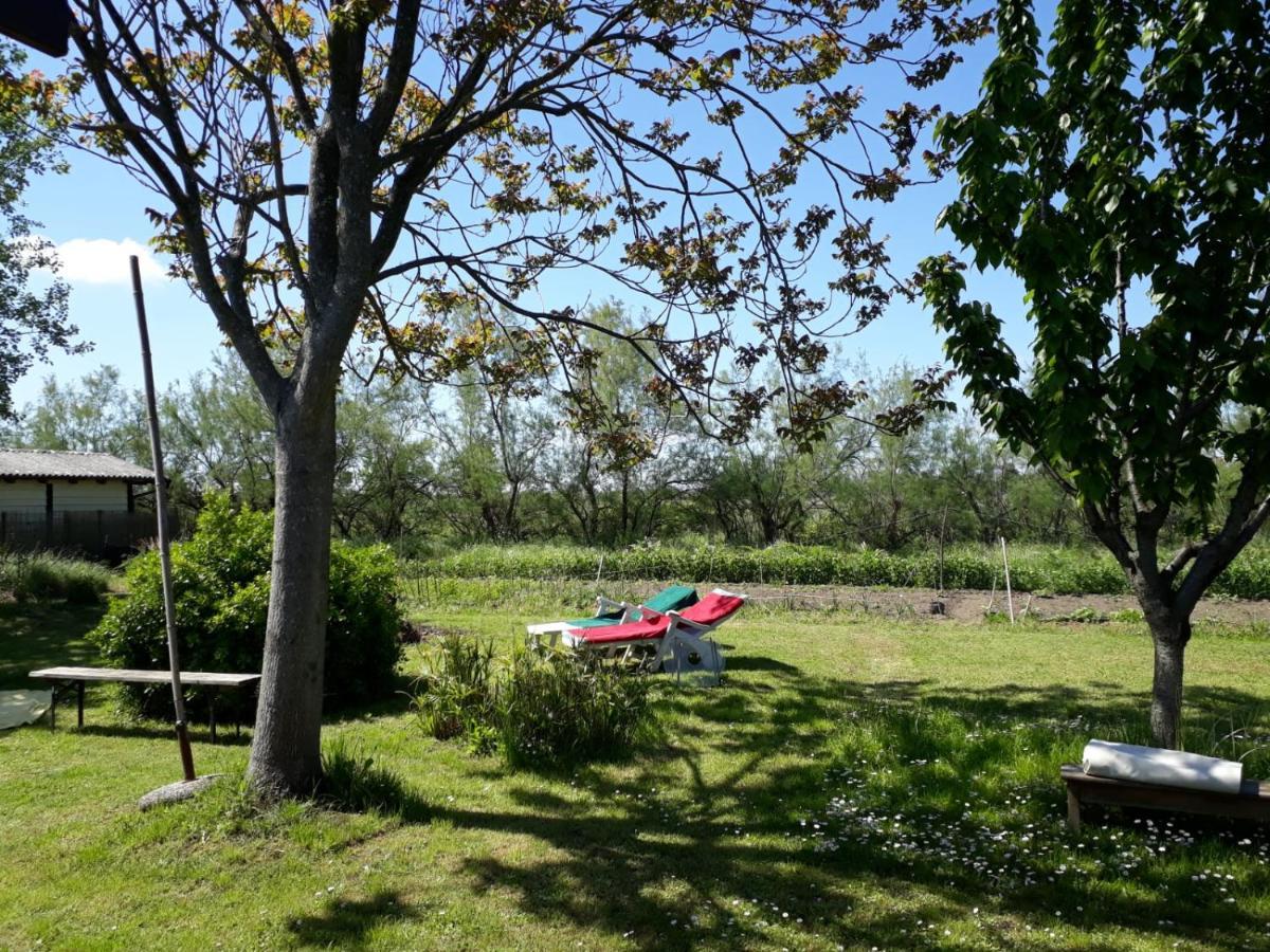 Laguna Di Isola Di S.erasmo Habitación en casa particular Venecia